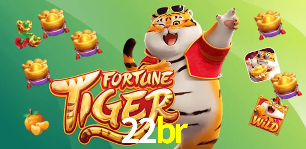 Security Systems 22br